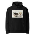 Black Hoodie Black-Eyebrowed Albatros Diomedea Melanophrys Illustrated - Elizabeth Gould 1804 Premium