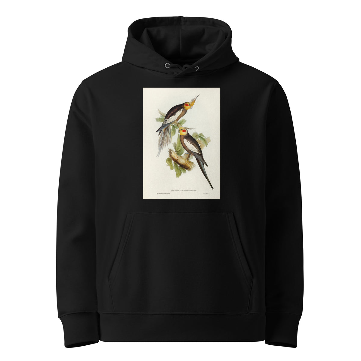 Black Hoodie Cockatoo Parakeet Nymphicus Novae Hollandiae Illustrated - Elizabeth Gould 1804 Premium