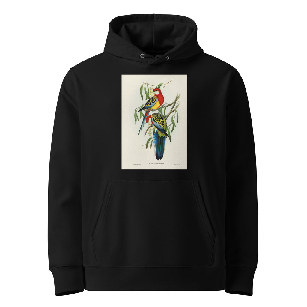 Black Hoodie Rose-Hill Parakeet Platycercus Eximius Illustrated - Elizabeth Gould 1804 Premium