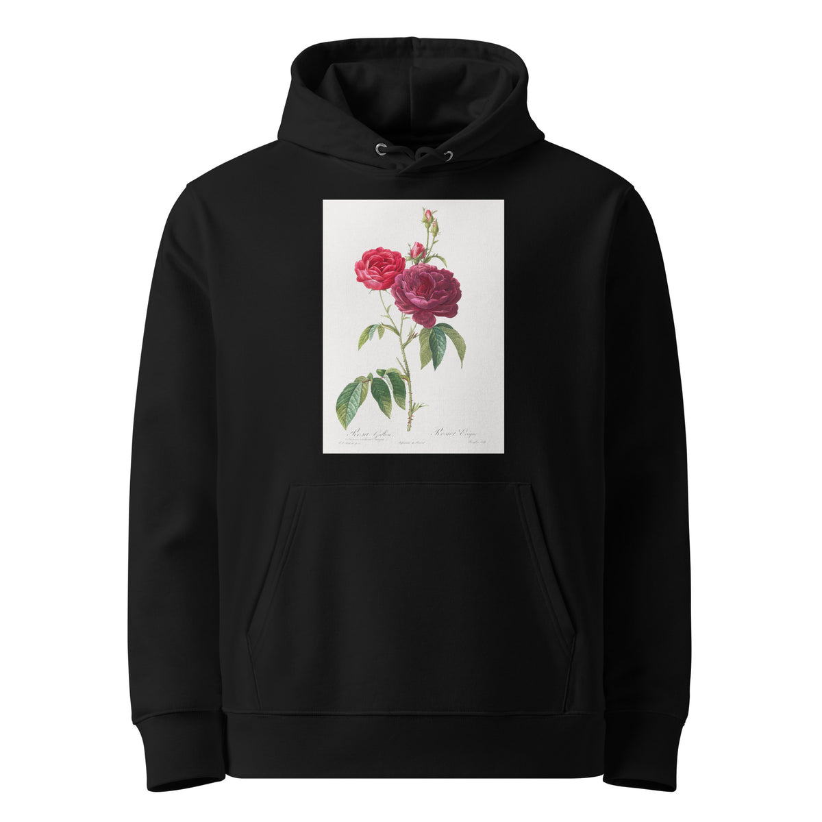 Black Hoodie Purple French Rose Rosa Gallica Purpuro-Violacea Magna Premium