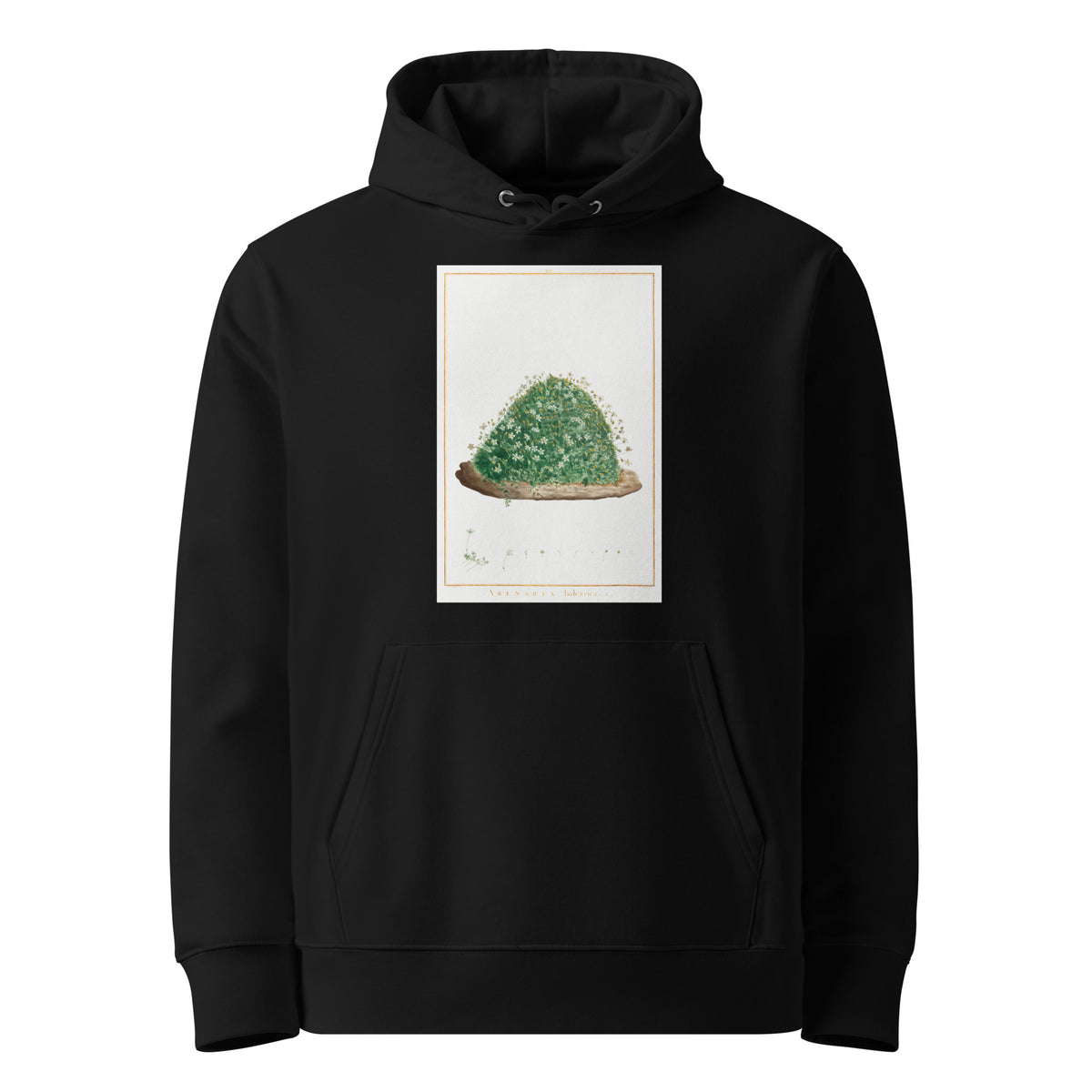 Black Hoodie Arenaria Balearica Image - Pierre-Joseph Redoute And Charles Louis L Heritier 1784 Premium