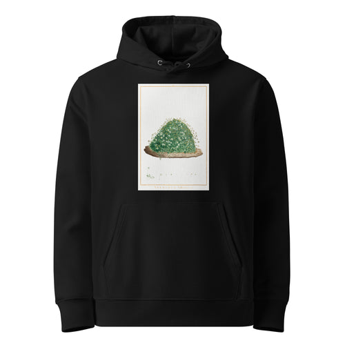 Black Hoodie Arenaria Balearica Image - Pierre-Joseph Redoute And Charles Louis L Heritier 1784 Premium