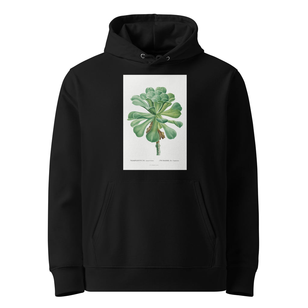 Black Hoodie Sempervivum Canariense Image Premium