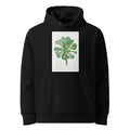 Black Hoodie Sempervivum Canariense Image Premium
