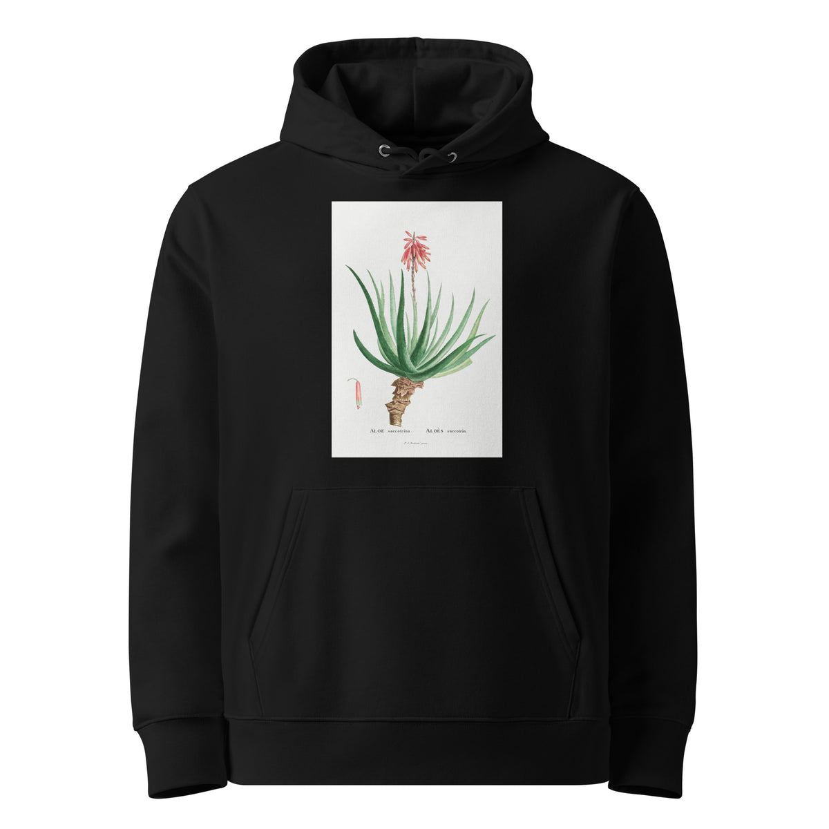 Black Hoodie Aloe Socotrina Image Premium