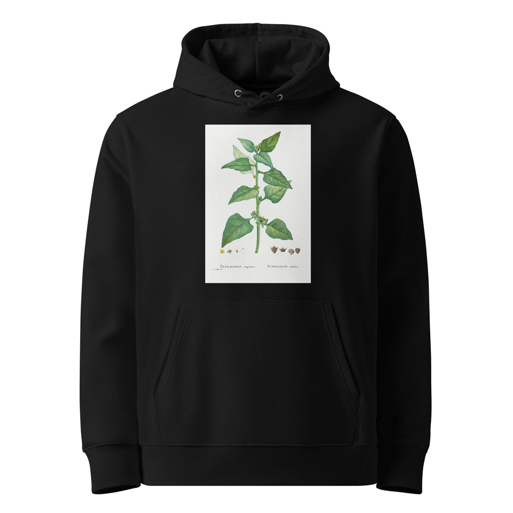 Black Hoodie Tetragonia Expansa New Zealand Spinach Premium