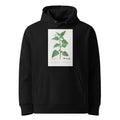 Black Hoodie Tetragonia Expansa New Zealand Spinach Premium