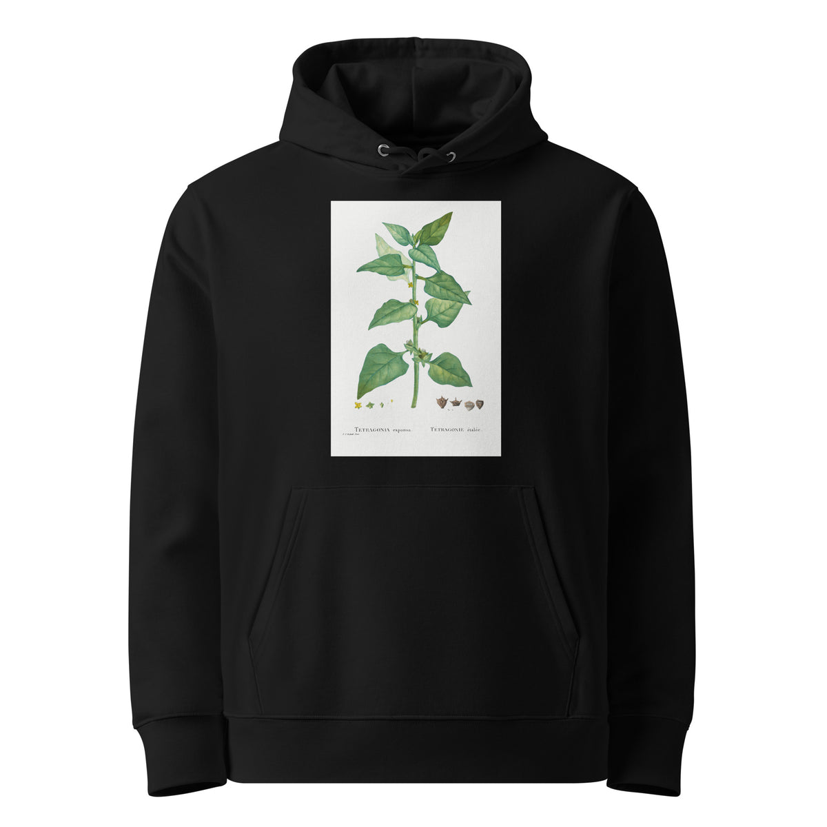Black Hoodie Tetragonia Expansa New Zealand Spinach Premium