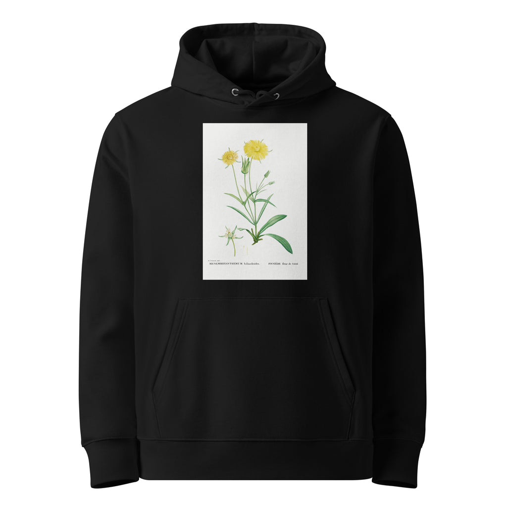Black Hoodie Mesembryanthemum Helianthoides Spatula Leaved Fig Marigold - Pierre-Joseph 1799 Premium