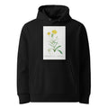 Black Hoodie Mesembryanthemum Helianthoides Spatula Leaved Fig Marigold - Pierre-Joseph 1799 Premium