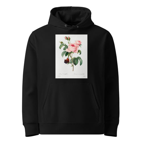 Black Hoodie Cabbage Rose - Pierre-Joseph Redoute 1759 Premium