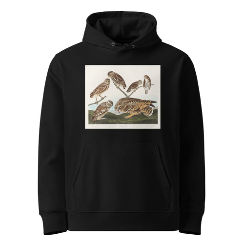 Black Hoodie Burrowing Owl Large-Headed Burrowing Owl Little Night Owl Columbian Owl And Short-Cared Owl - John James Audubon 1827 Premium