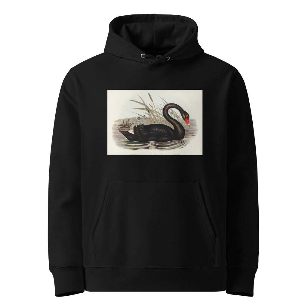 Black Hoodie Black Swan Cygnus Atratus Illustrated - Elizabeth Gould 1804 Premium