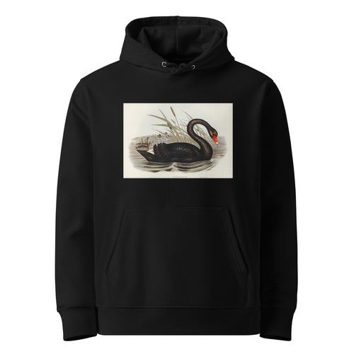 Black Hoodie Black Swan Cygnus Atratus Illustrated - Elizabeth Gould 1804 Premium