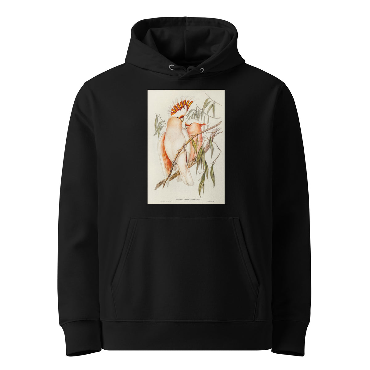 Black Hoodie Leadbeater S Cockatoo Cacatua Leadbeaterii Illustrated - Elizabeth Gould 1804 Premium