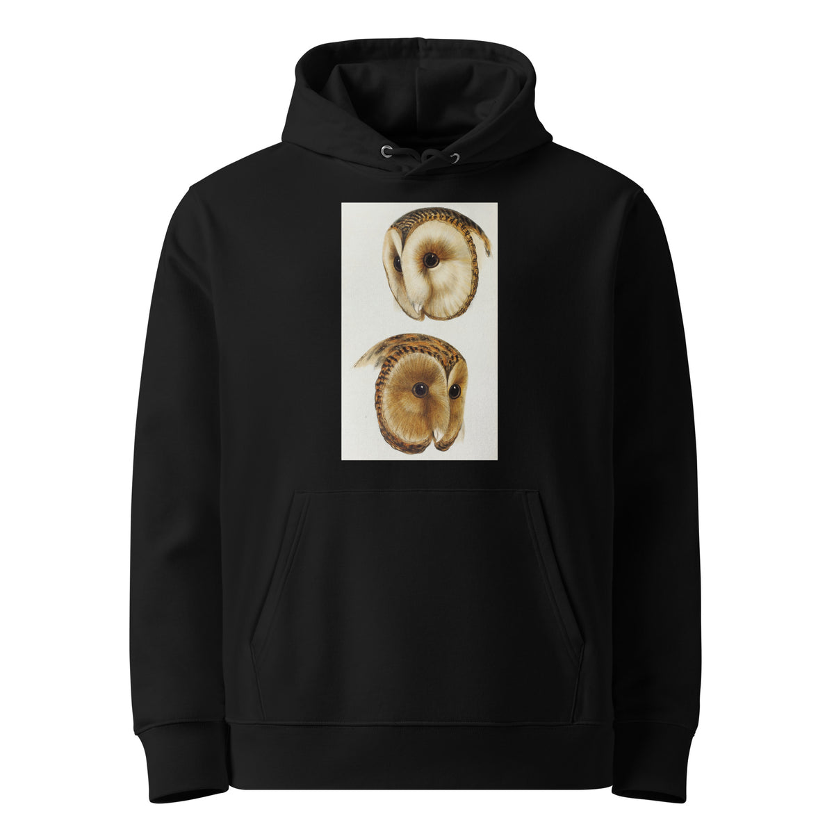 Black Hoodie 1 Masked Barn Owl Strix Personata 2 Tasmanian Masked Owl Strix Castanops Illustrated Premium