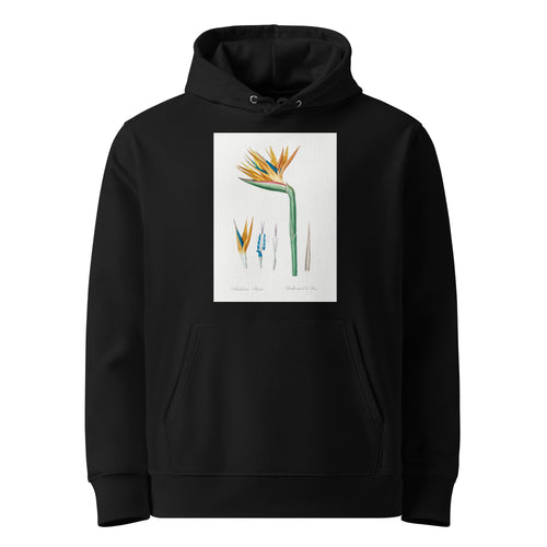 Black Hoodie Bird Of Paradise Illustration Premium