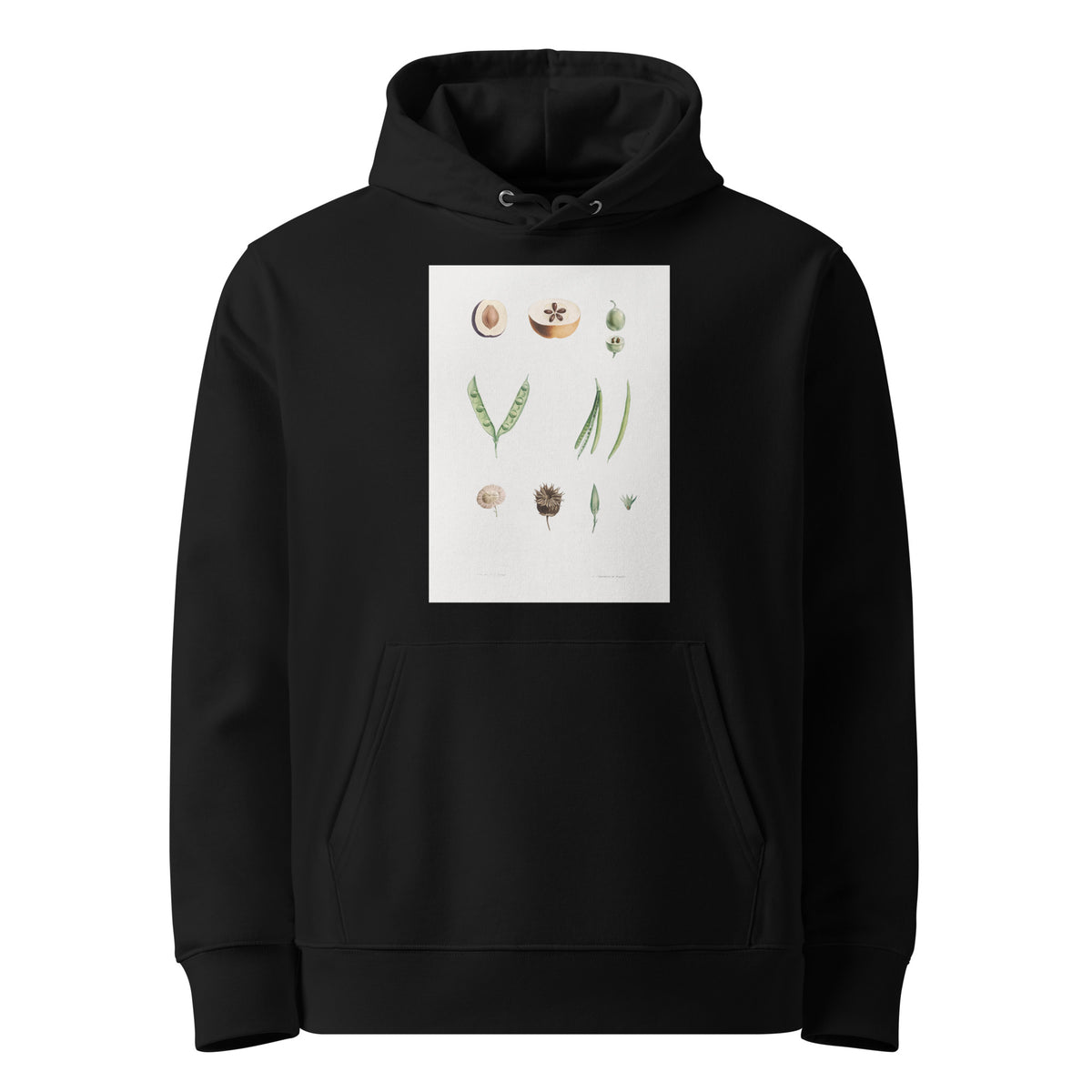 Black Hoodie Plants Part - Pierre-Joseph Redoute 1759 Premium