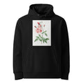 Black Hoodie Old Blush China Also Known As Common Rose Of India Rosa Indica Vulgaris Premium