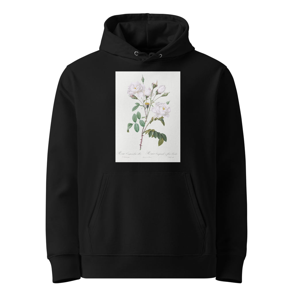 Black Hoodie Rosa Campanulata Alba Also Known As Pink Bellflowers To White Flowers Premium