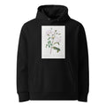 Black Hoodie Rosa Campanulata Alba Also Known As Pink Bellflowers To White Flowers Premium