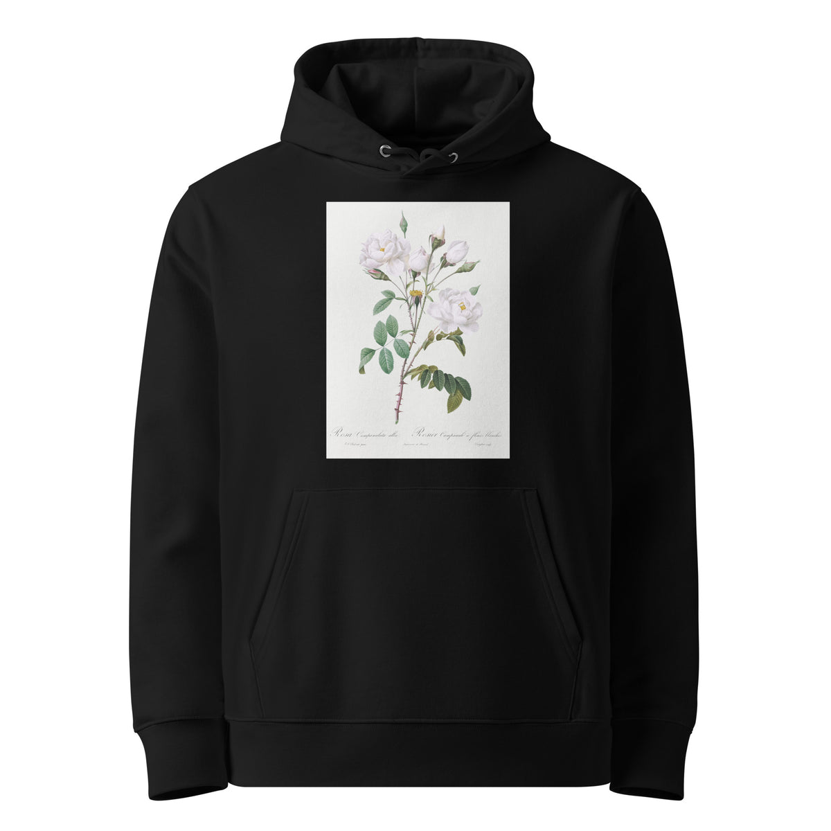 Black Hoodie Rosa Campanulata Alba Also Known As Pink Bellflowers To White Flowers Premium