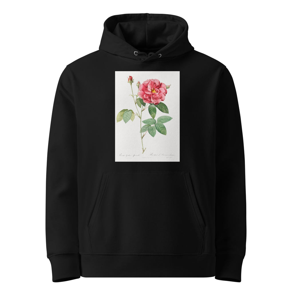 Black Hoodie French Rose Also Known As Ordinary Provins Rosebush Rosa Galluca Offuenalis Premium