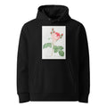 Black Hoodie Cabbage Rose Also Known As One Hundred-Leaved Rose Rosa Centifolia Premium