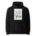 Black Hoodie Rosa X Alba Also Known As The White Leaf Of Fleury Rosa Alba Foliacea Premium