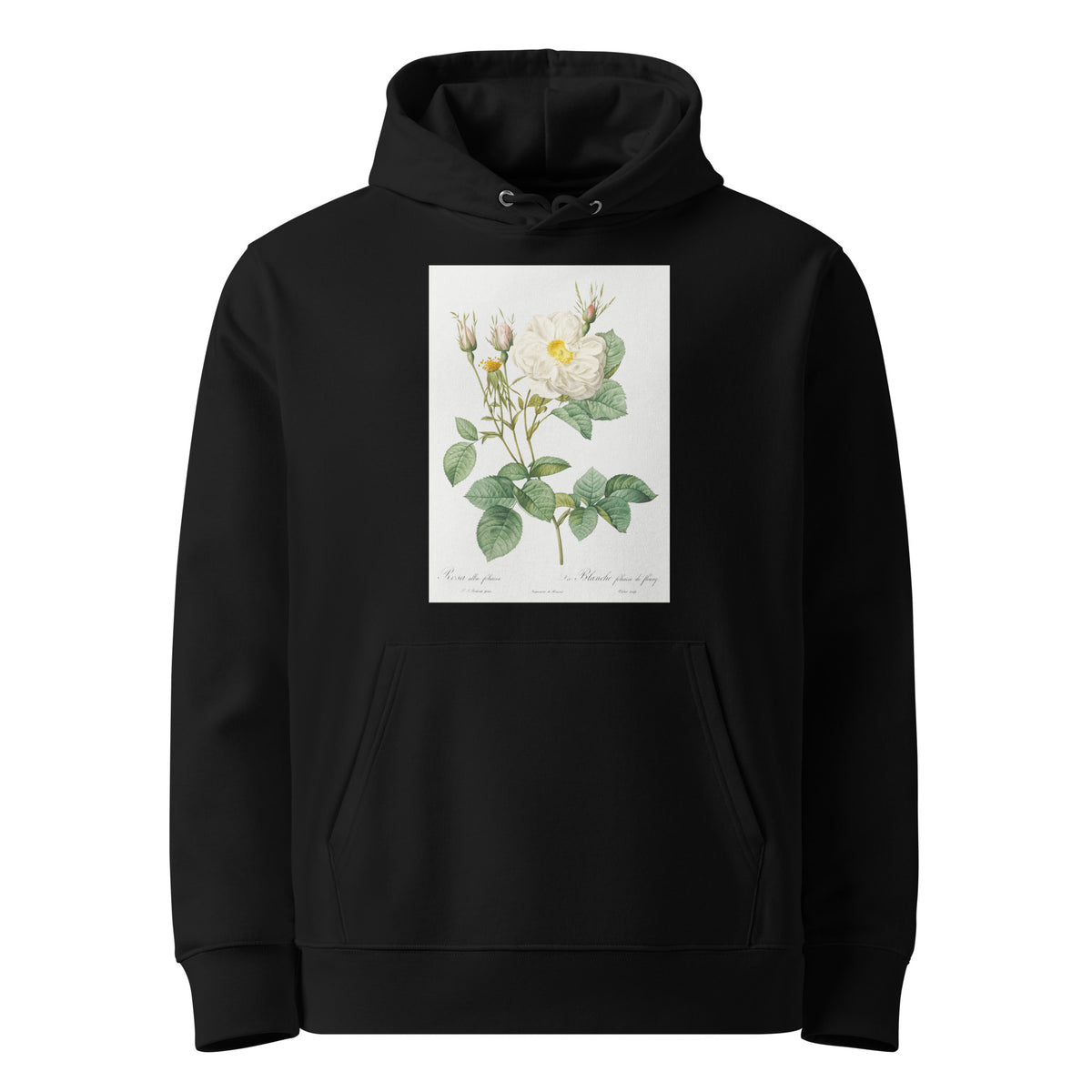 Black Hoodie Rosa X Alba Also Known As The White Leaf Of Fleury Rosa Alba Foliacea Premium