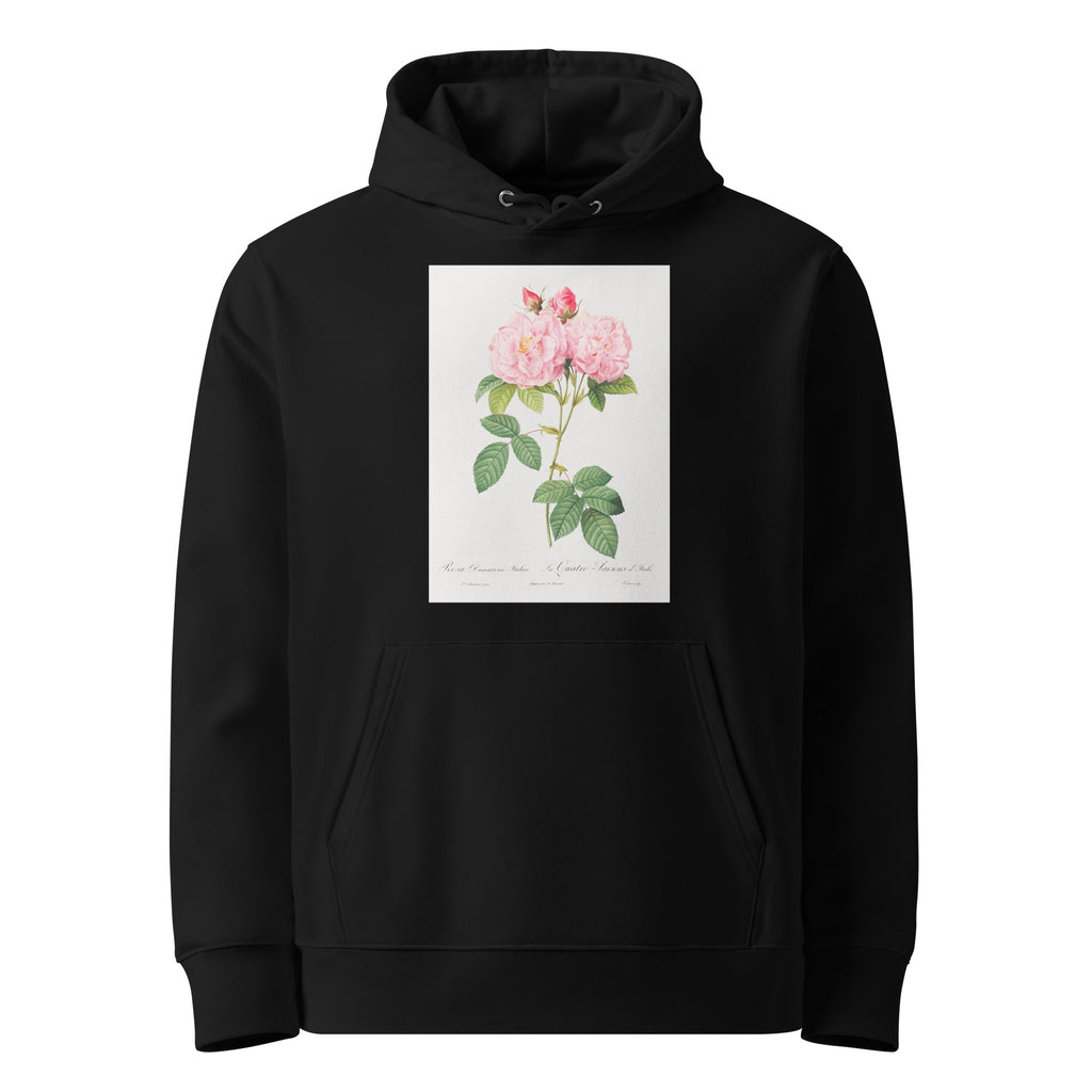 Black Hoodie Italian Damask Rose Also Known As The Four Seasons Of Italy Rosa Damascena Italica Premium