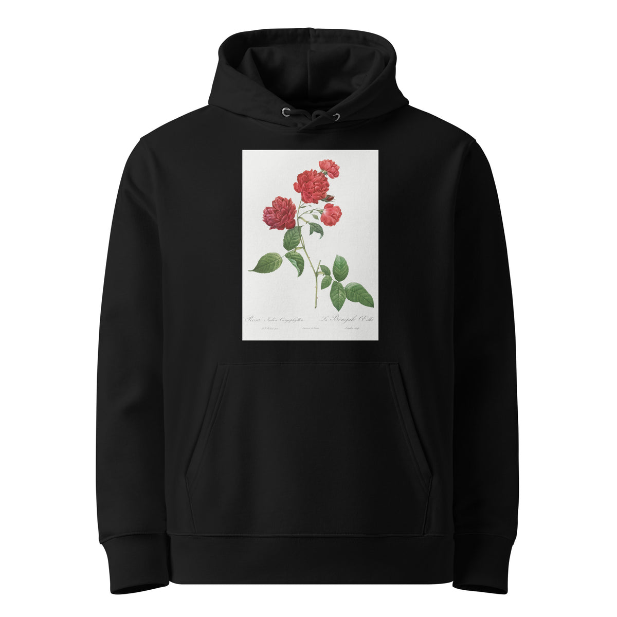 Black Hoodie Red Cabbage Rose Also Known As Bengal Eyelet Rosa Indica Caryophyllea - Pierre-Joseph Redoute Original From The Library Of Congress 1817 Premium