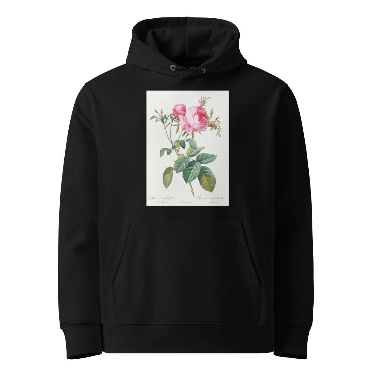 Black Hoodie Rose De Mai Rosa Centifolia Foliacea Premium