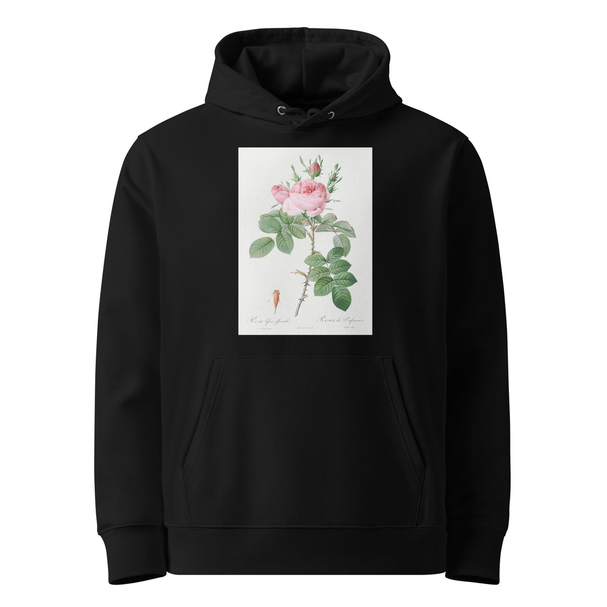 Black Hoodie Rosa Bifera Officinalis Also Known As Rose Of Perfume Premium