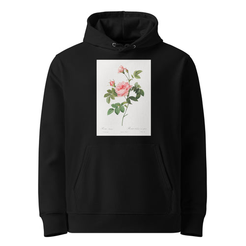 Black Hoodie Boursault Rose Also Known As Rose Turbine Without Thorns Rosa Inermis Premium