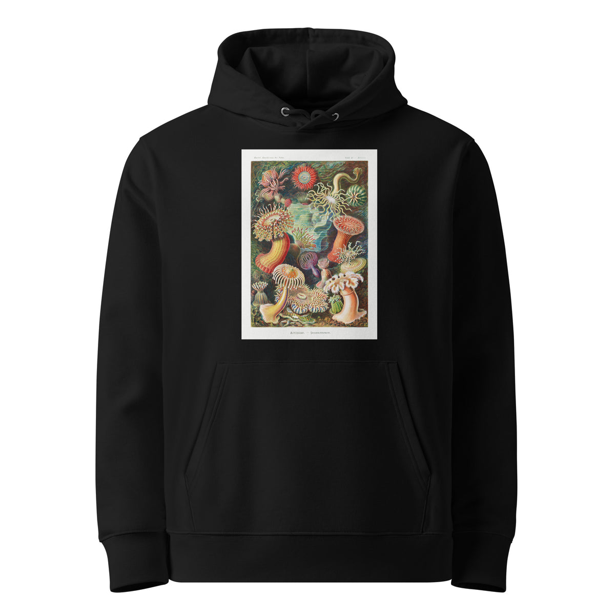 Black Hoodie Actiniae Seeanemonen Premium
