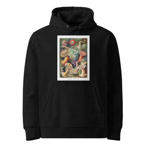 Black Hoodie Actiniae Seeanemonen Premium