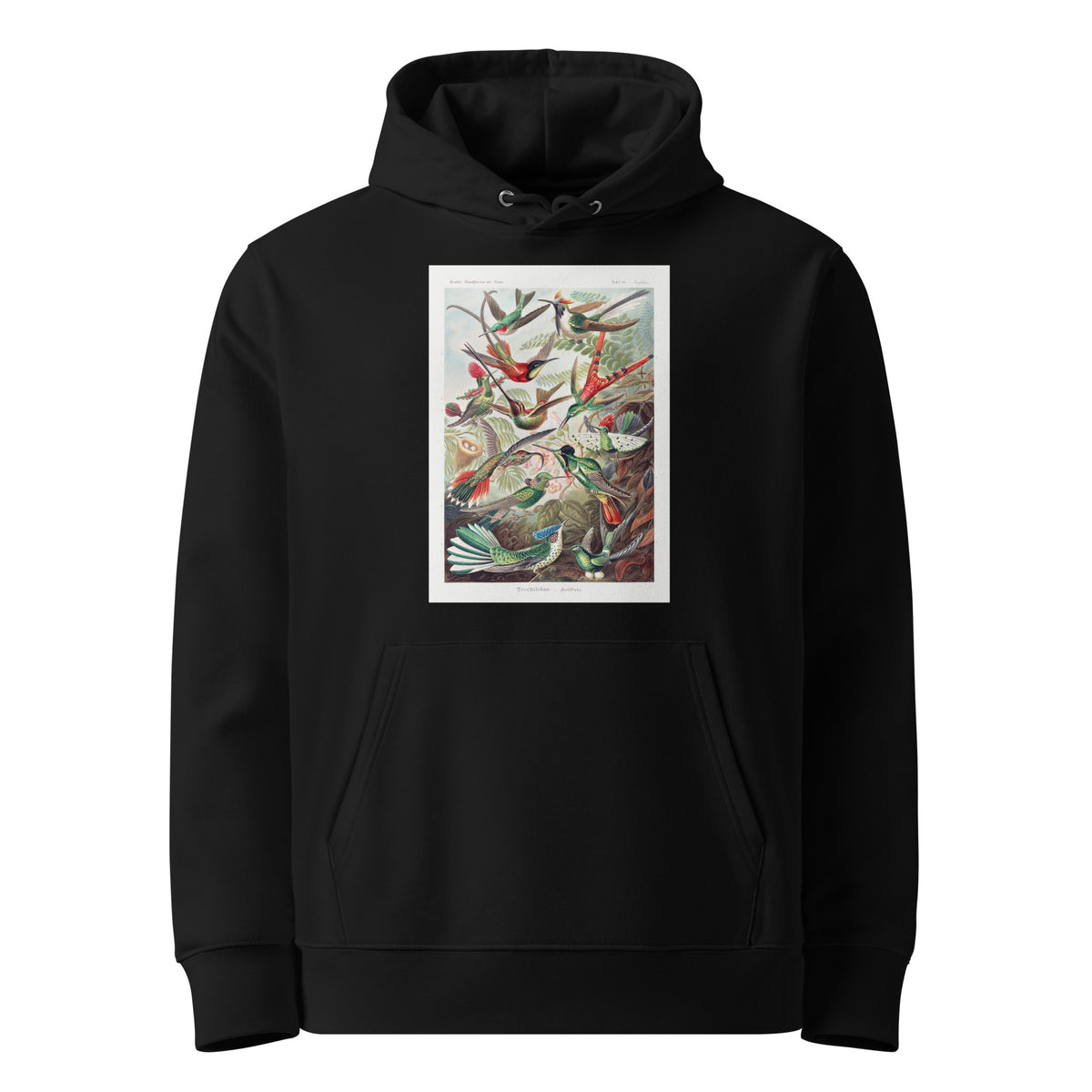 Black Hoodie Trochilidae Kolibris Premium