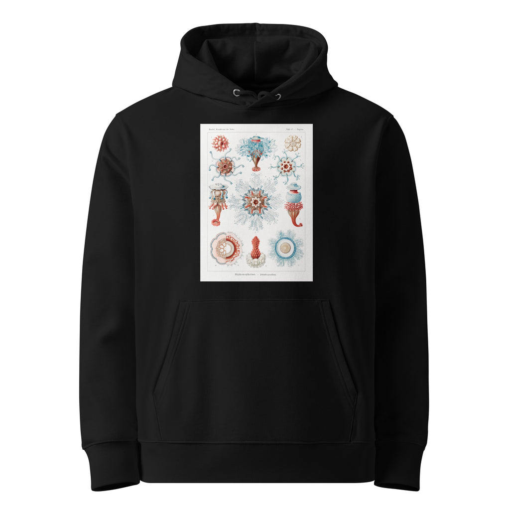 Black Hoodie Siphonophorae Staatsquallen Premium