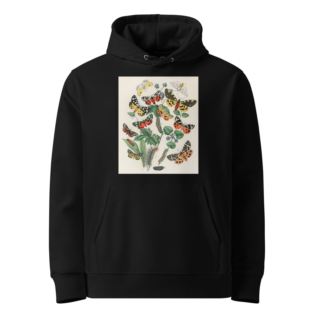Black Hoodie Illustrations - William Forsell Kirby 1882 Premium