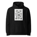 Black Hoodie Chiroptera Fledertiere Premium