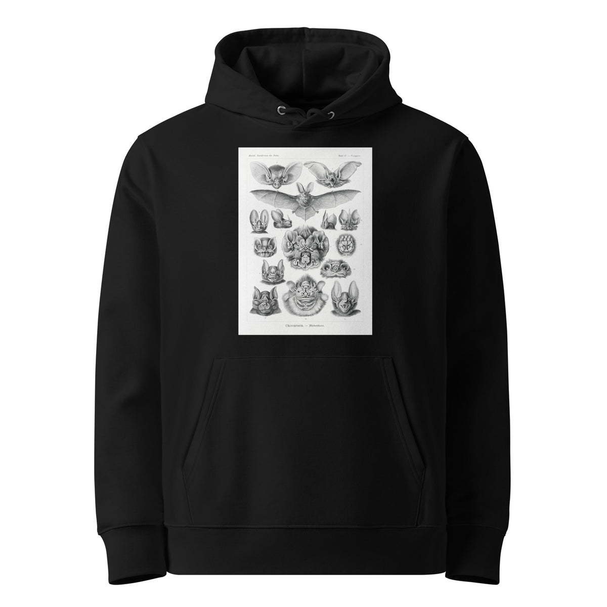Black Hoodie Chiroptera Fledertiere Premium