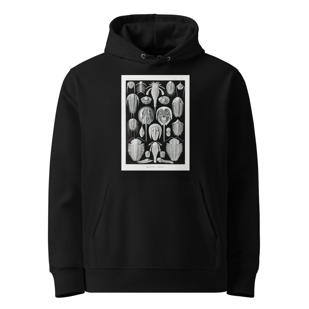 Black Hoodie Aspidonia Schildtiere Premium