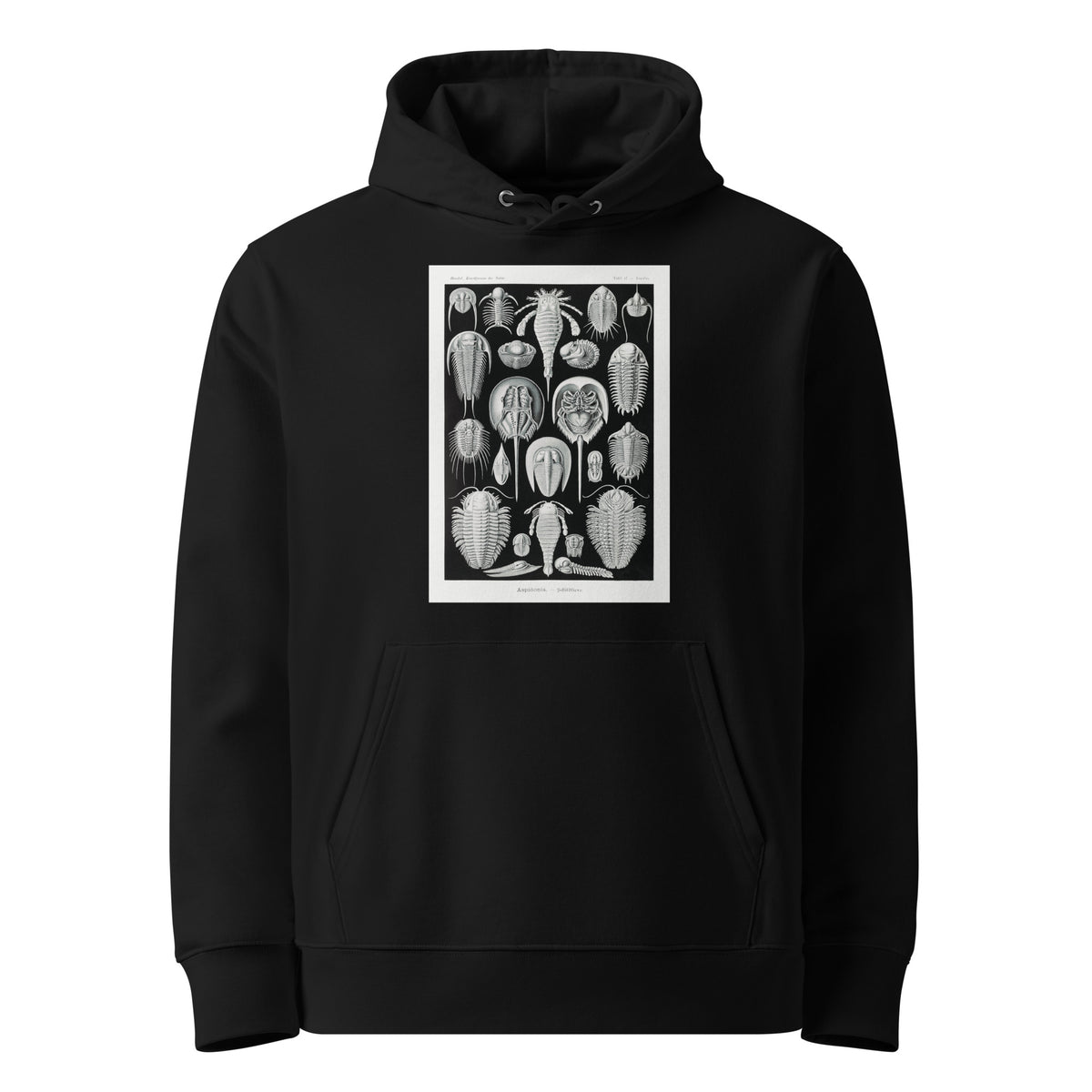 Black Hoodie Aspidonia Schildtiere Premium