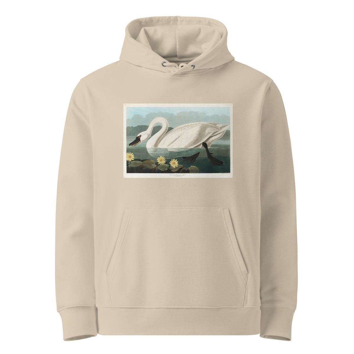 Desert Hoodie Common American Swan - John James Audubon 1827 Premium