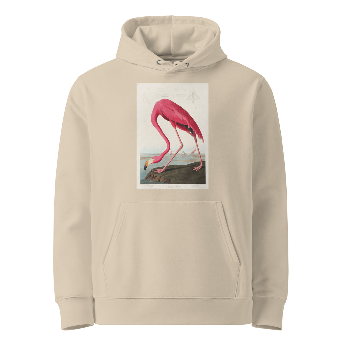 Desert Hoodie Pink Flamingo - John James Audubon 1827 Premium