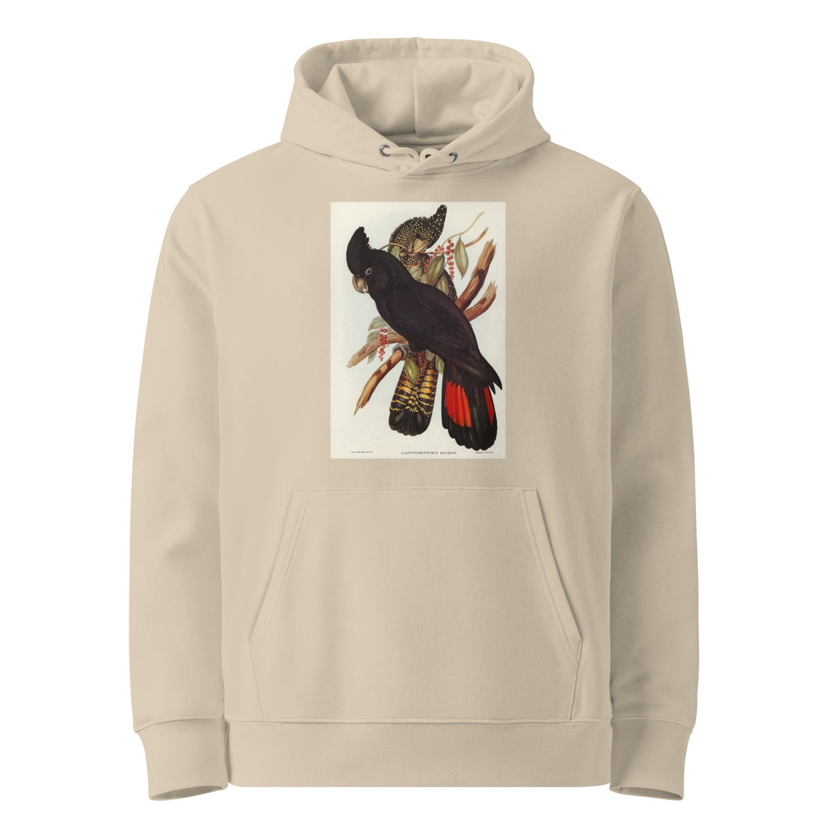 Desert Hoodie Banksian Cockatoo Calyptorhynchus Banksii Illustrated - Elizabeth Gould 1804 Premium