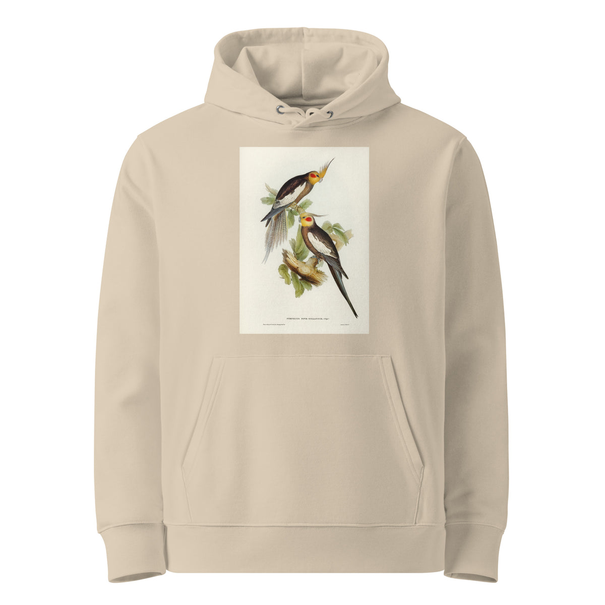 Desert Hoodie Cockatoo Parakeet Nymphicus Novae Hollandiae Illustrated - Elizabeth Gould 1804 Premium