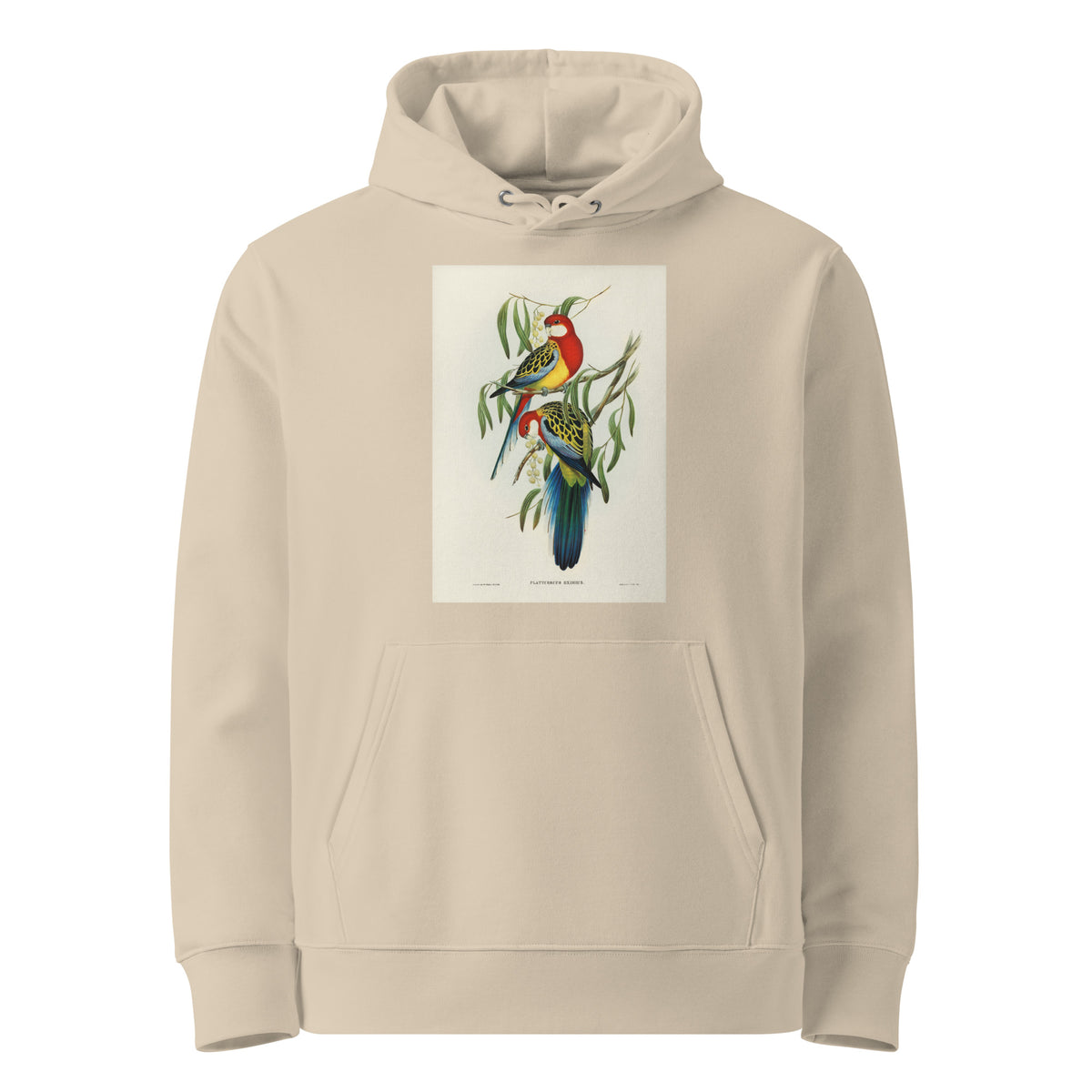 Desert Hoodie Rose-Hill Parakeet Platycercus Eximius Illustrated - Elizabeth Gould 1804 Premium