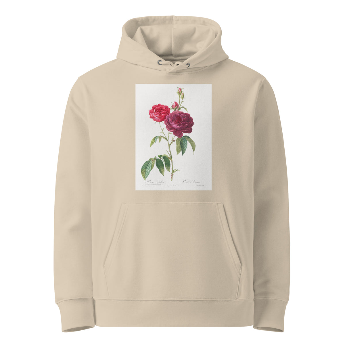 Desert Hoodie Purple French Rose Rosa Gallica Purpuro-Violacea Magna Premium